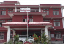 झापामा १२३७ वटा हतियार दर्ता , प्रहरी प्रशासनमा कसैले पनि बुझाएनन्