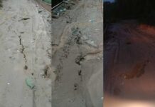 वर्षाले राजदुवाली सडकखण्ड भासियो, मेची राजमार्गमा सवारी आवागमनमा रोक