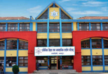 सीटीईभीटीका शिक्षालय प्रदेश र स्थानीय तहबाट सञ्चालन गर्न सिफारिस