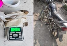 गौरीगञ्जबाट १०२ ग्राम ब्राउनसुगर बरामद