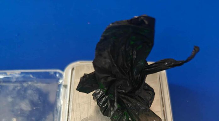 लागूऔषधसहित भद्रपुरमा पाँचजना पक्राउ