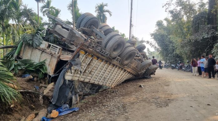 गोलिया बोकेको ट्रक बुद्धशान्तिमा पल्टियो , चारजना गंभीर घाइते